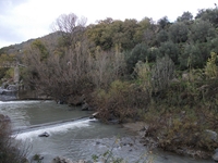 cantara gurne23122011 093